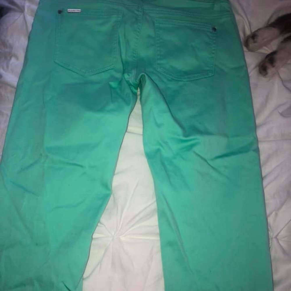 Pants - Picture 2 of 3